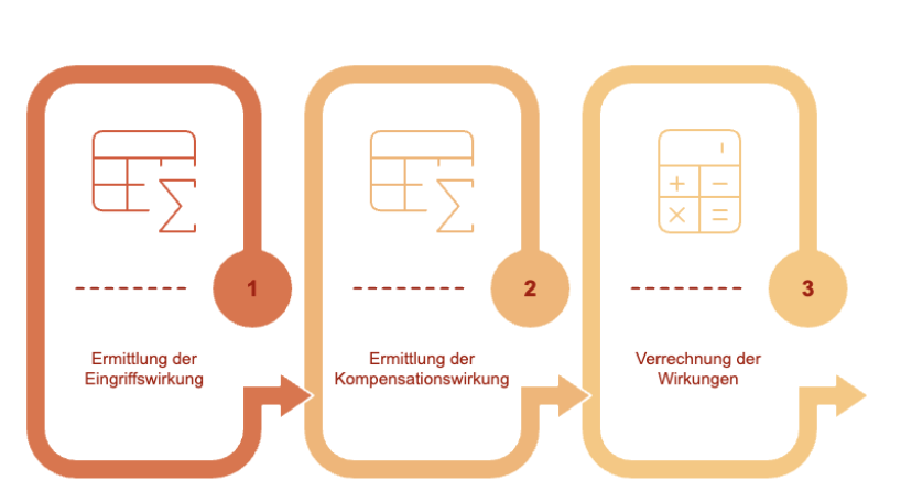 Der Prozess des „Märkischen Modells"